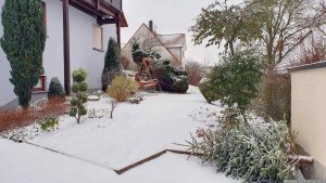 Unser Garten am 15. Januar 2024