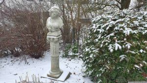 Unser Garten am 15. Januar 2024
