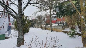 Unser Garten am 15. Januar 2024