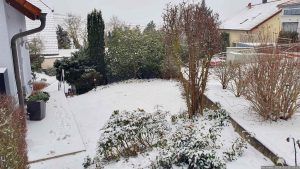 Unser Garten am 15. Januar 2024