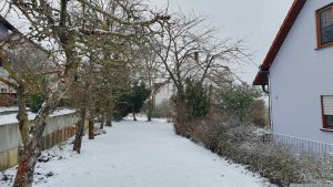 Unser Garten am 15. Januar 2024