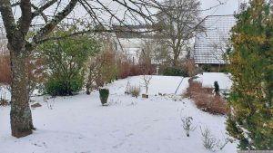 Unser Garten am 16. Januar 2024