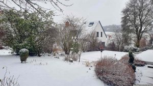 Unser Garten am 18. Januar 2024