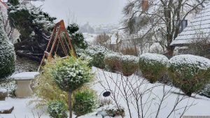Unser Garten am 18. Januar 2024