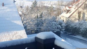 Wetterbild aus Eisingen vom 19. Januar 2024