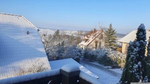 Wetterbild aus Eisingen vom 19. Januar 2024