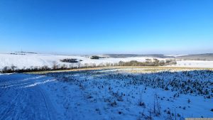 Wetterbild aus Eisingen vom 19. Januar 2024