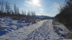 Wetterbild aus Eisingen vom 19. Januar 2024