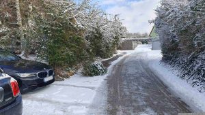 Nicht abgeholter Christbaum in der Merowingerstraße in Eisingen am 19. Januar 2024