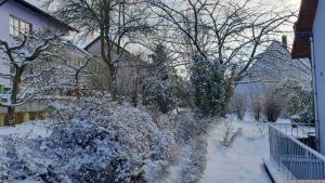 Unser Garten am 19. Januar 2024