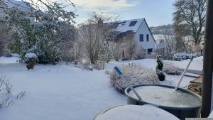 Unser Garten am 19. Januar 2024