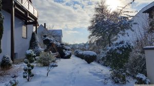 Unser Garten am 19. Januar 2024