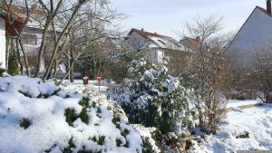 Unser Garten am 21. Januar 2024