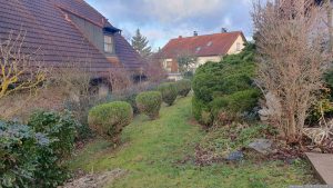 Unser Garten am 23. Januar 2024