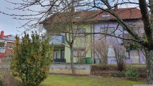 Eines der letzten Fotos von unserem Zwetschgenbaum am 3. Februar 2024