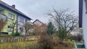 Unser Garten am 4. Februar 2024, ein Tag nach dem Fällen unseres Zwetschgenbaums.