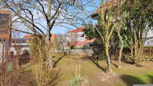 Unser Garten am 5. Februar 2024