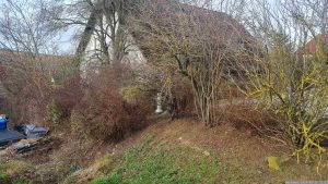 Grenzbepflanzung in unserem Garten am 15. Februar 2024