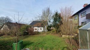 Grenzbepflanzung in unserem Garten am 15. Februar 2024