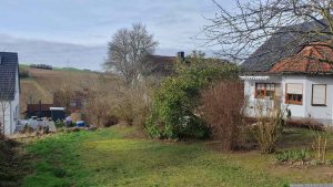 Grenzbepflanzung in unserem Garten am 15. Februar 2024