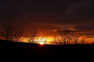 Sonnenuntergang in Eisingen am 26. Februar 2024