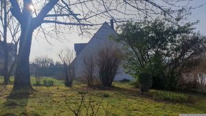 Unser Garten am 29. Februar 2024
