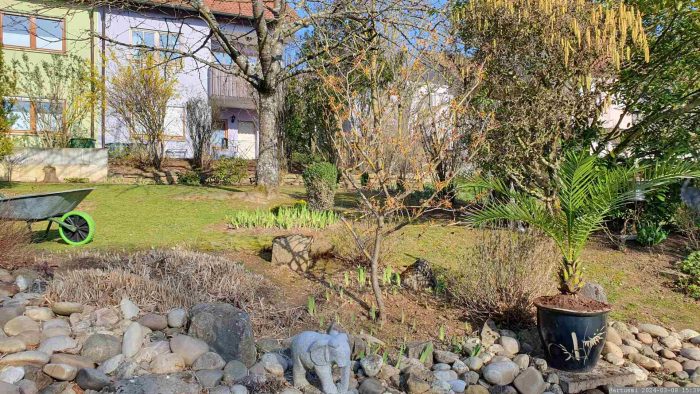 Unser Garten am 8. März 2024
