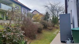 Unser Garten am 10. März 2024