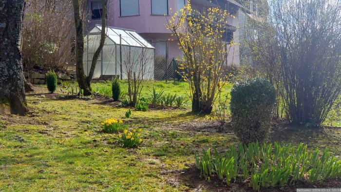 Unser Garten am 11. März 2024