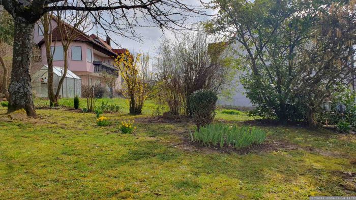 Unser Garten am 14. März 2024