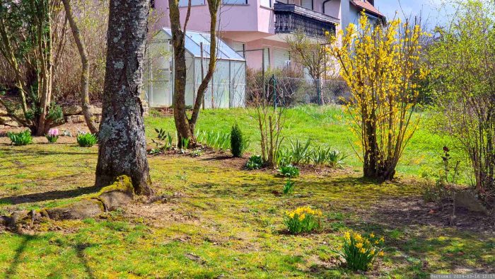 Unser Garten am 16. März 2024