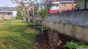 Unser Garten am 17. März 2024
