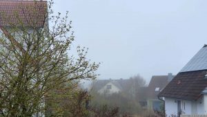 Nebel in Eisingen am Vormittag des 19. März 2024