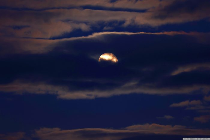 Vollmond am Westhimmel von Eisingen - 13 Minuten vor Beginn der Halbschatten-Mondfinsternis am 25. März 2024.