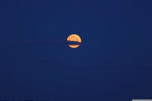 Vollmond am Westhimmel von Eisingen - 11 Minuten nach Beginn der Halbschatten-Mondfinsternis am 25. März 2024.