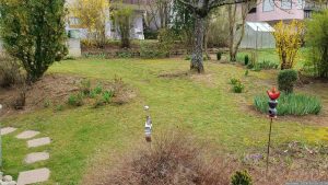 Unser Garten am 26. März 2024 nach dem ersten Rasenschnitt