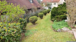 Unser Garten am 26. März 2024 nach dem ersten Rasenschnitt