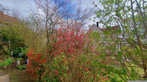 Unser Garten am 28. März 2024