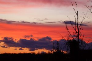 Abendrot in Eisingen am 28. März 2024 (Gründonnerstag)