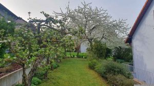 Unser Garten am 9. April 2024