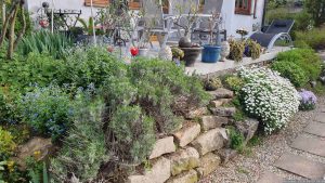 Blütenpracht an den Böschungen im Bereich Terrasse am 9. April 2024.