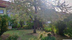 Unser Garten am 14. April 2024