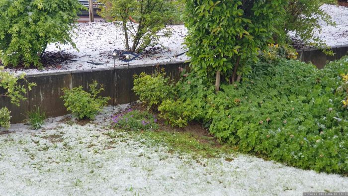 Nach dem Graupelschauer am 18. April 2024