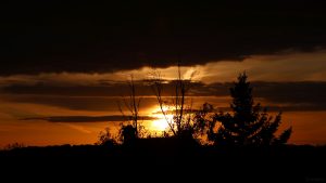 Sonnenuntergang in Eisingen am 3. Mai 2024