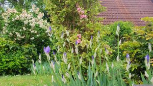 Unser Garten am 4. Mai 2024