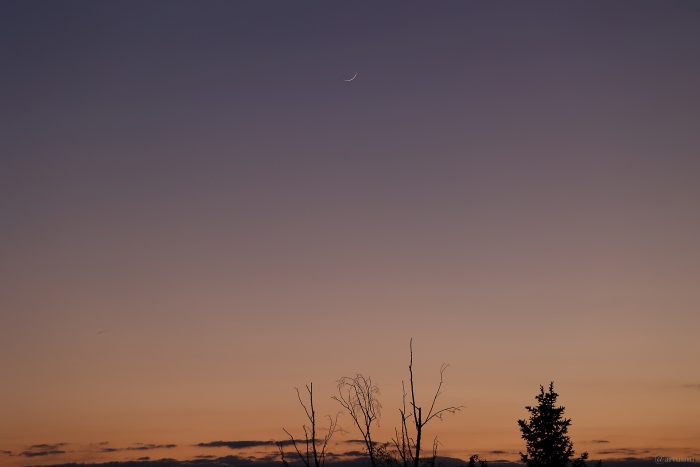 Schmale Mondsichel am 9. Mai 2024 am Abendhimmel