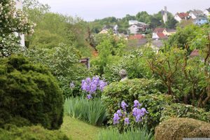 Unser Garten am 16. Mai 2024
