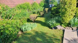Unser Garten am 26. Mai 2024