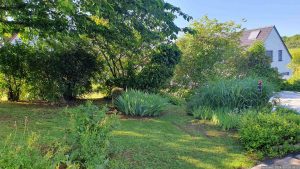 Unser Garten am 26. Mai 2024