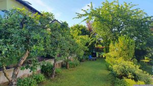 Unser Garten am 26. Mai 2024